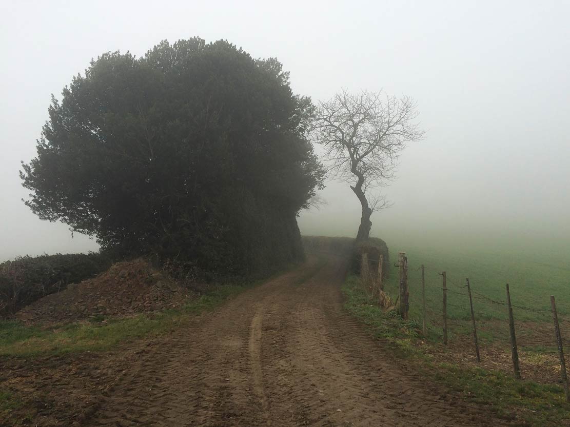 Wandeling in de mist<br>
St. Maigner FR, 26 maart 2018