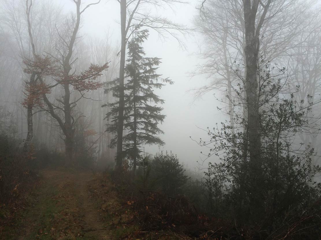 Wandeling in de mist<br>
St. Maigner FR, 26 maart 2018