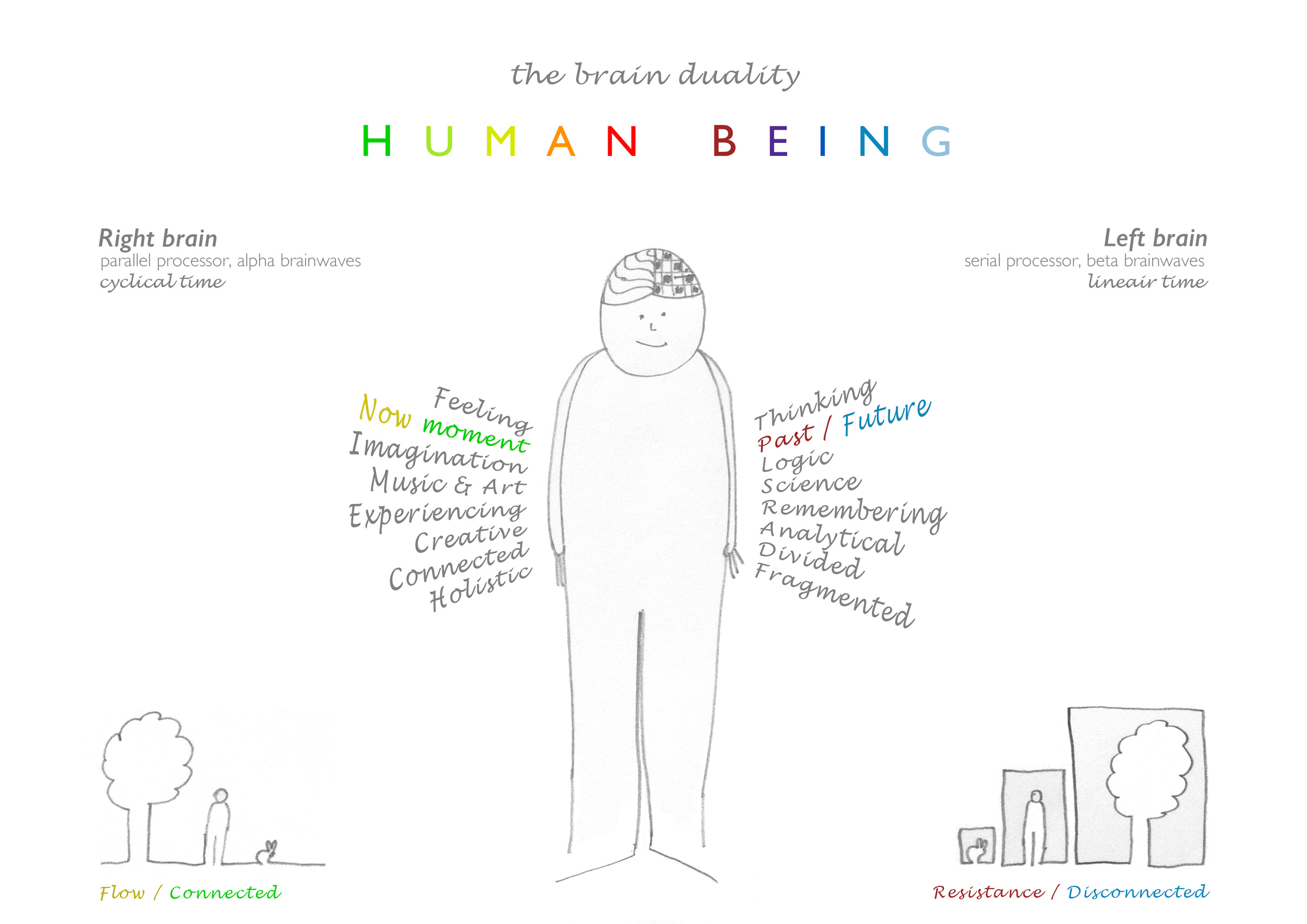 Human Being | the brain duality