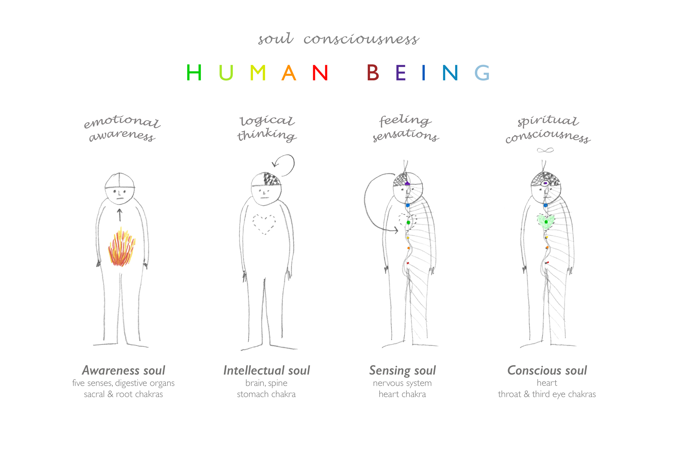 Human Being | soul consciousness