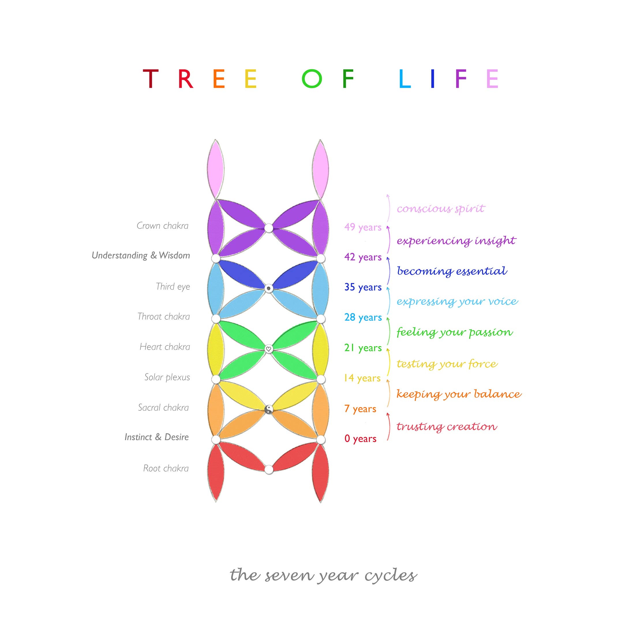 Tree of Life | the seven year cycles