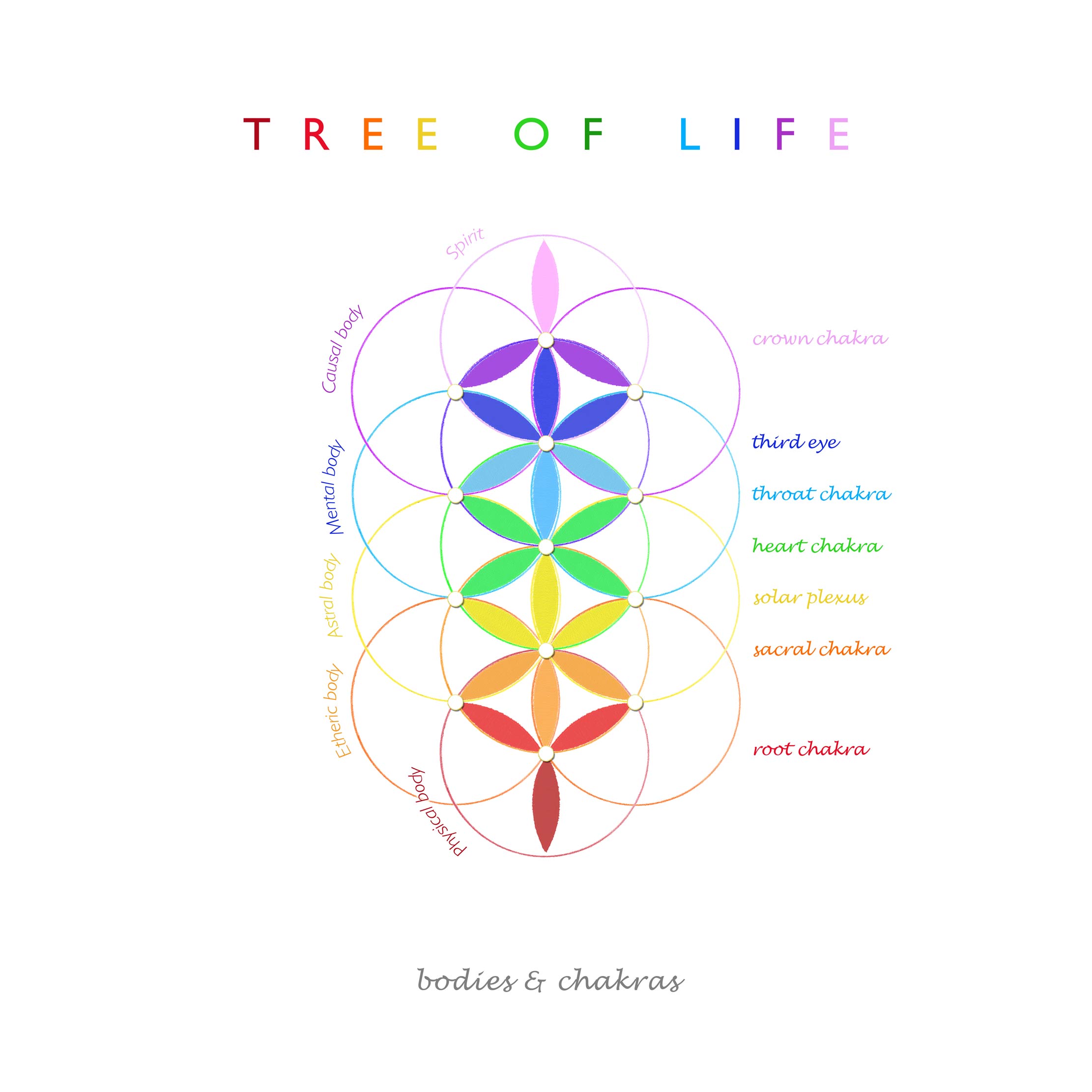 Tree of Life | bodies & chakras