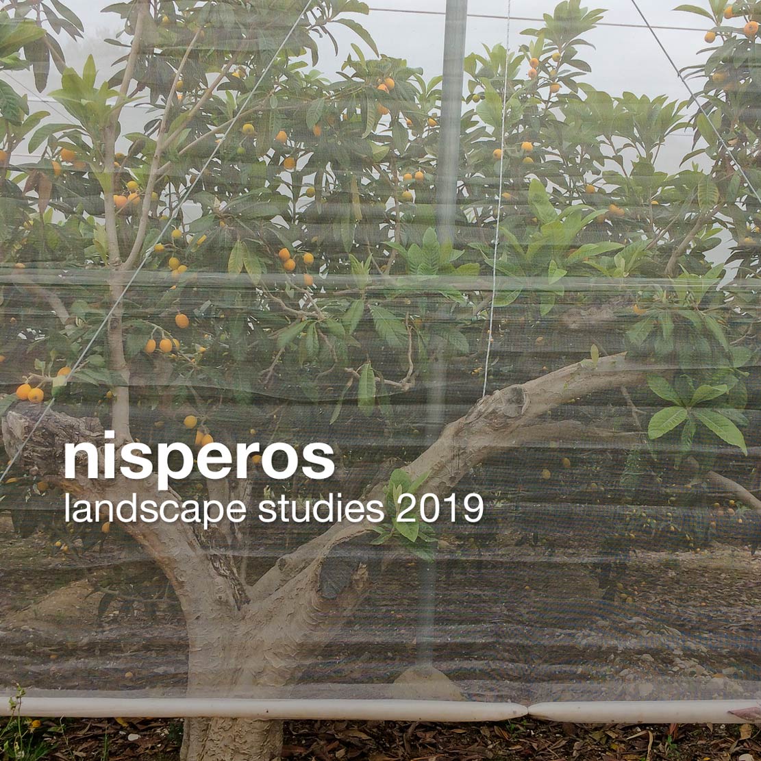 nisperos | landscape studies 2019 | frankzweers.nl/