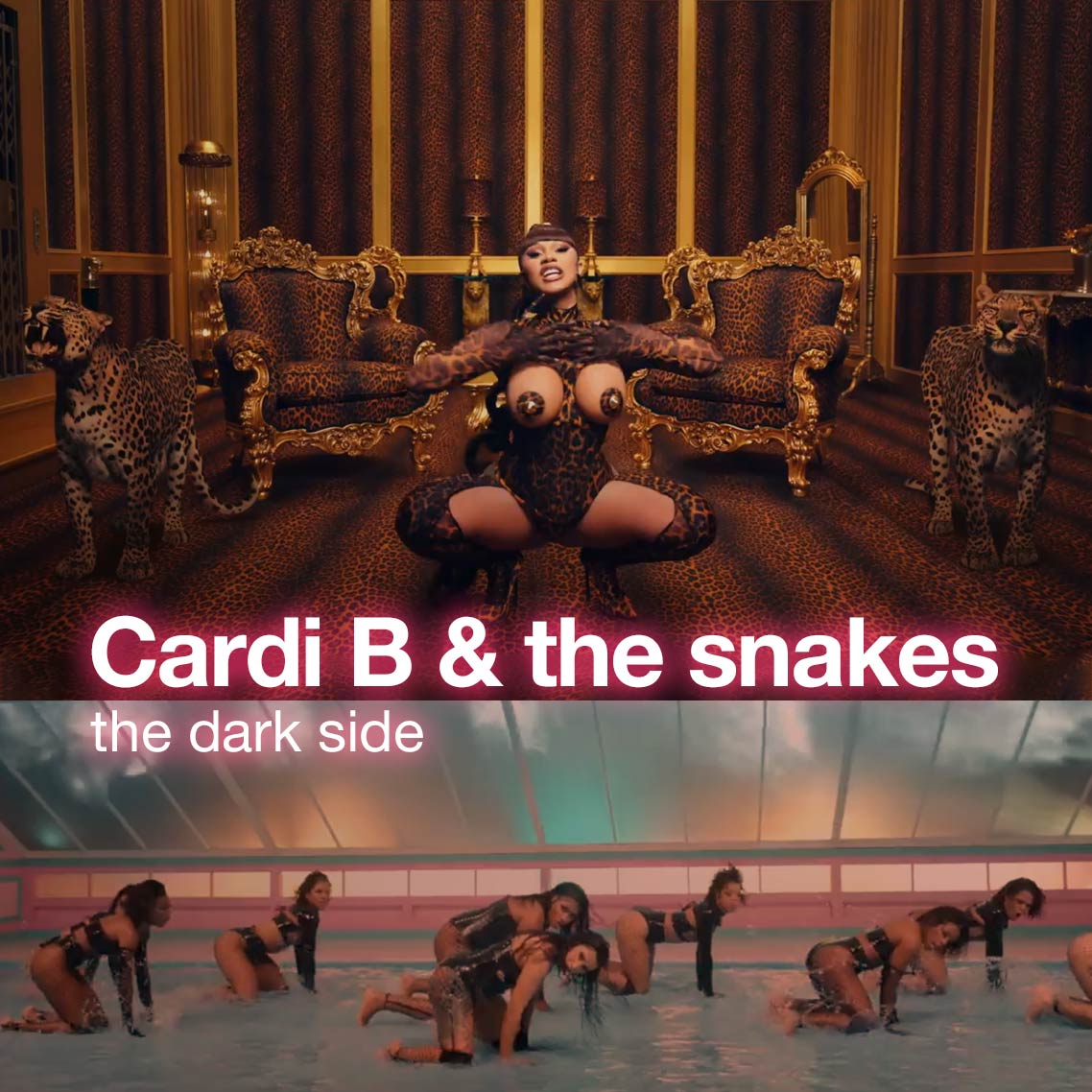 cardi-b-&-the-snakes | the dark side